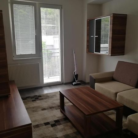 Apartman "K Vystavisku" Διαμέρισμα Trenčín Εξωτερικό φωτογραφία