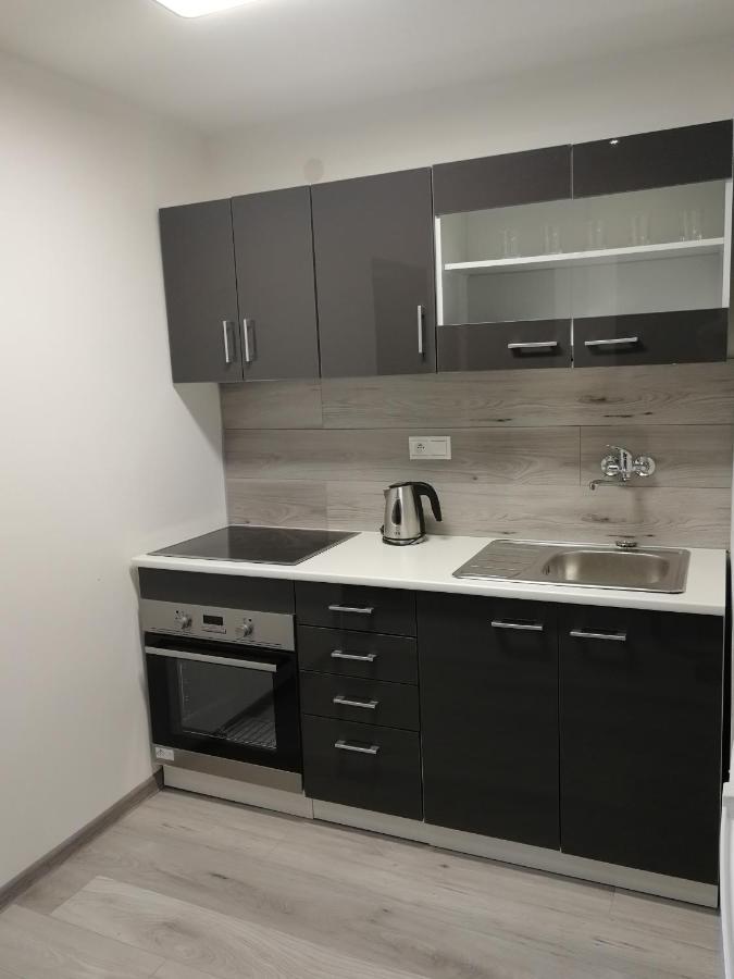 Apartman "K Vystavisku" Διαμέρισμα Trenčín Εξωτερικό φωτογραφία