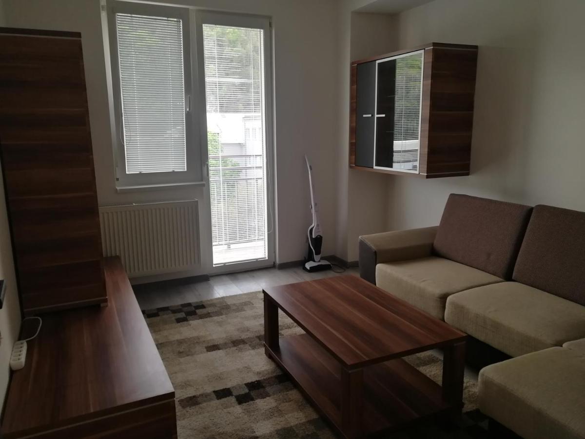 Apartman "K Vystavisku" Διαμέρισμα Trenčín Εξωτερικό φωτογραφία