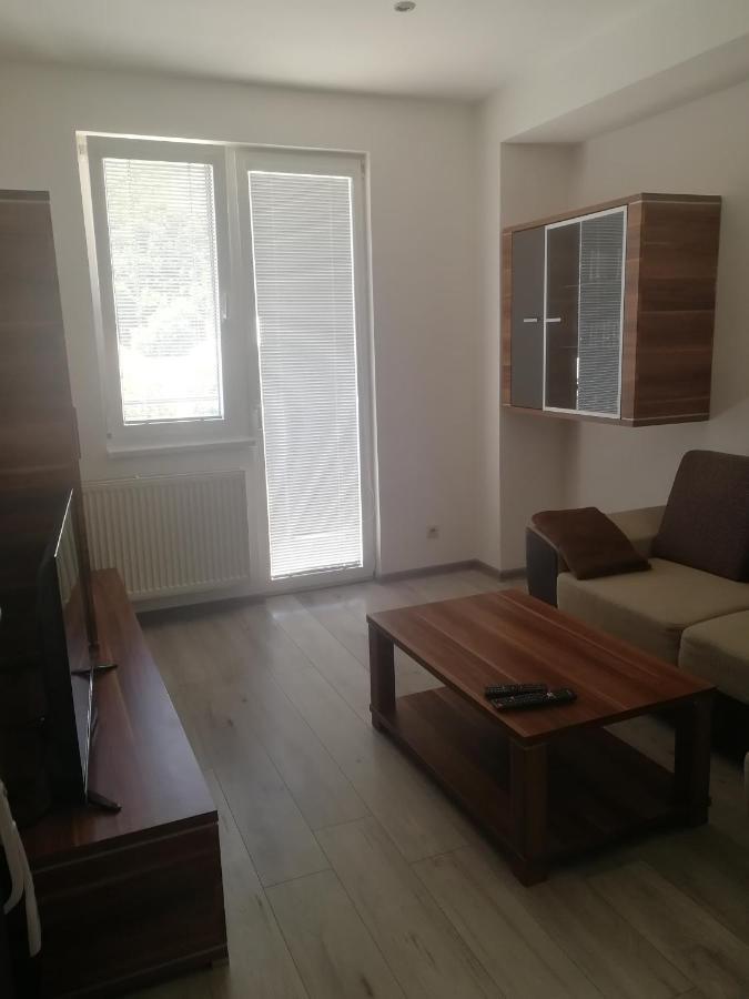 Apartman "K Vystavisku" Διαμέρισμα Trenčín Εξωτερικό φωτογραφία